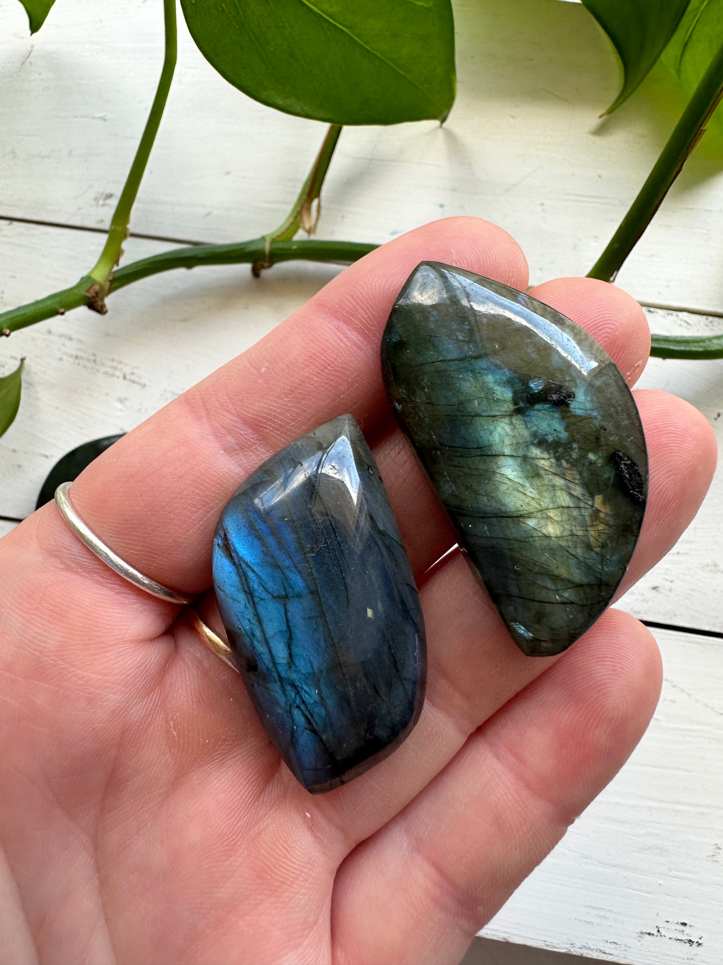 Labradorite Leafs ~ Transformation - Protection - Aligns