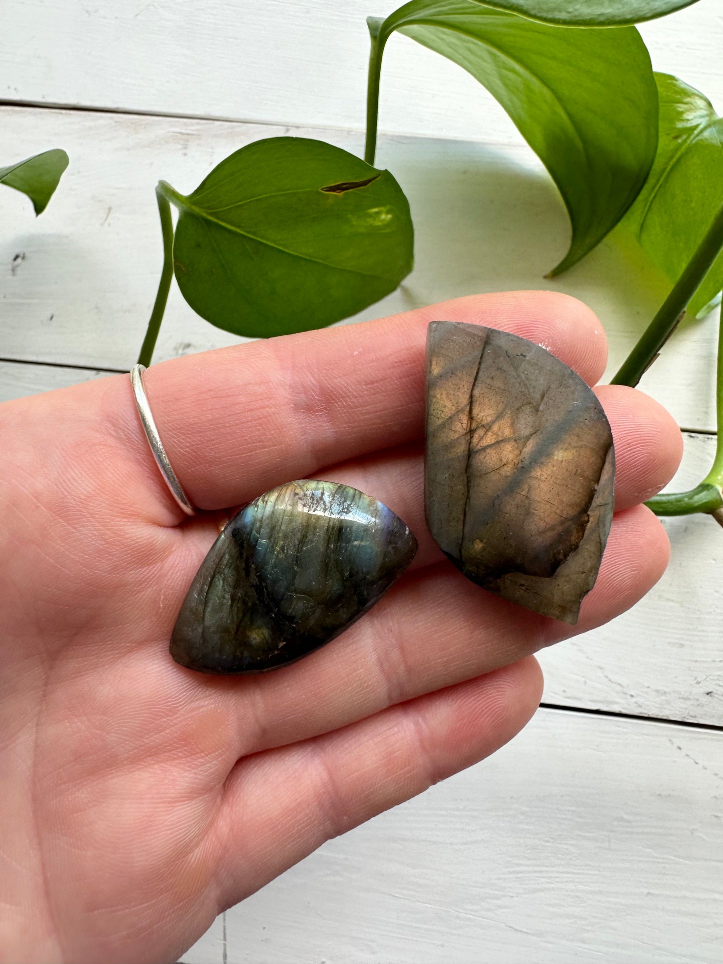 Labradorite Leafs ~ Transformation - Protection - Aligns