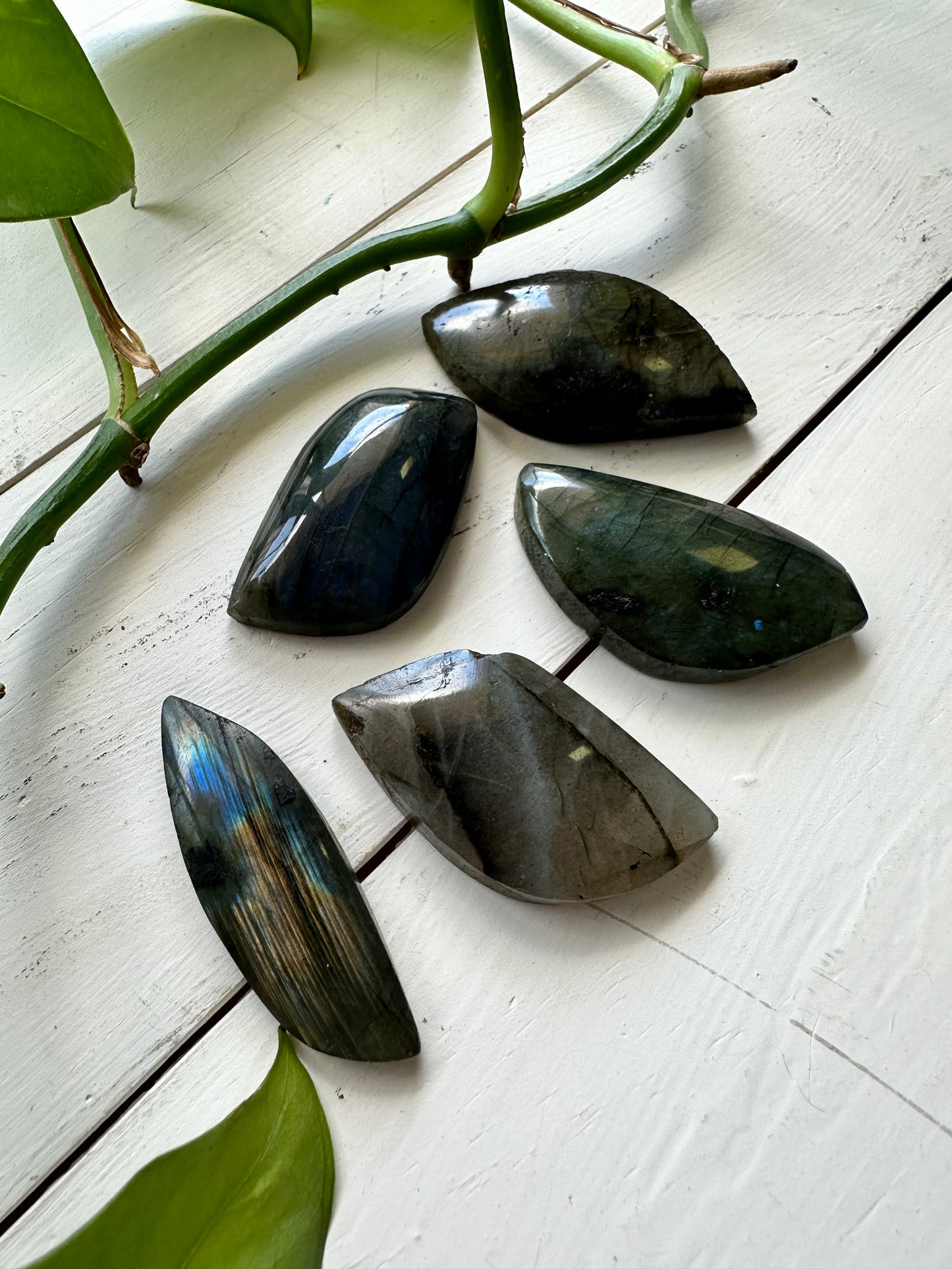 Labradorite Leafs ~ Transformation - Protection - Aligns