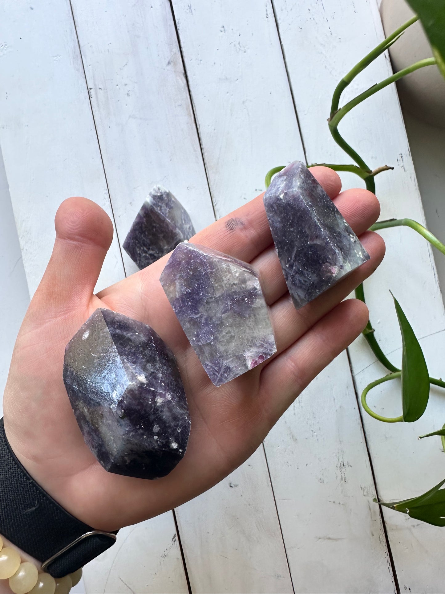 Unicorn Stone Freeform’s