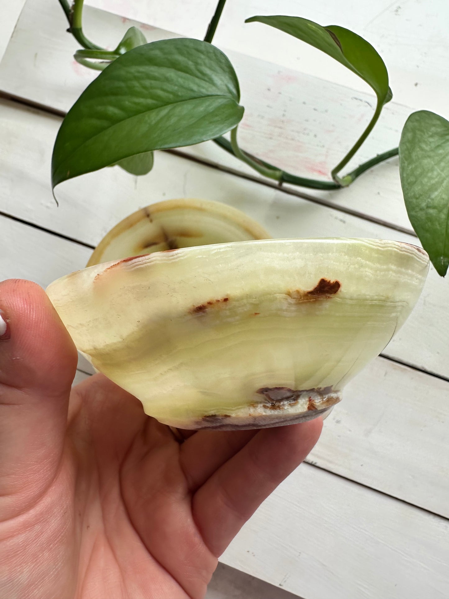 Aragonite Bowls