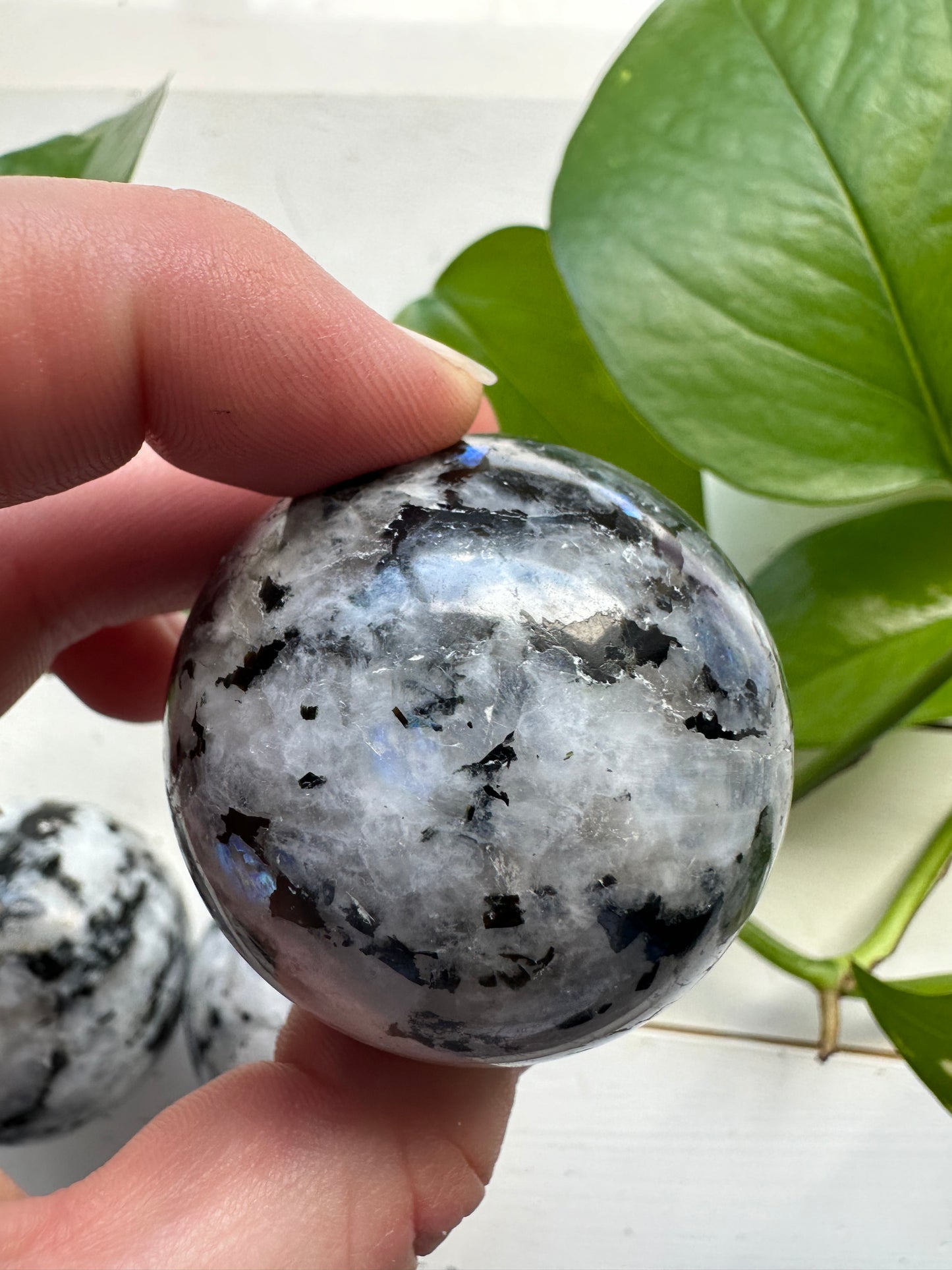 Rainbow Moonstone Spheres