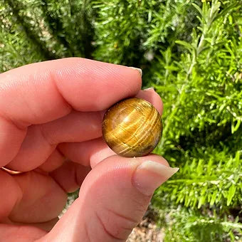 Tiger's Eye Mini Spheres ~ Clarity ~ Protection ~ Inner Power