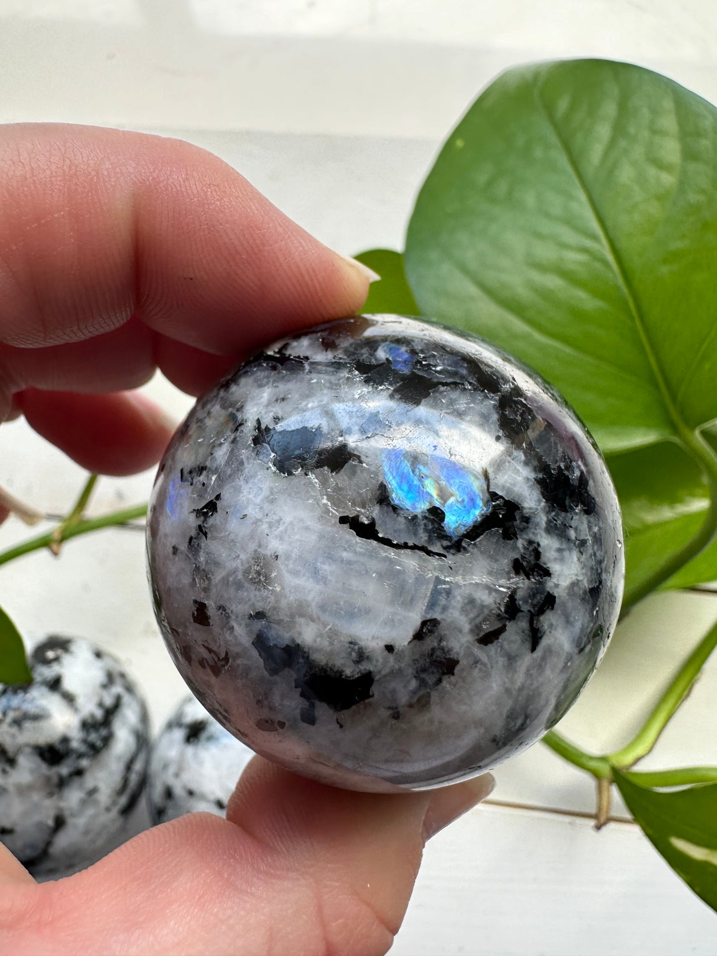 Rainbow Moonstone Spheres