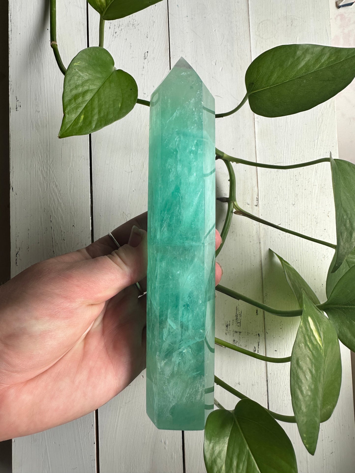 Fluorite Tower’s ~ Inner Confidence ~ Focus ~ Concertation ~