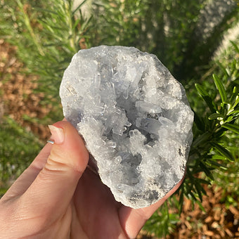 Celestite Cluster ~ Understanding ~ Mindfulness ~ Higher Consciousness