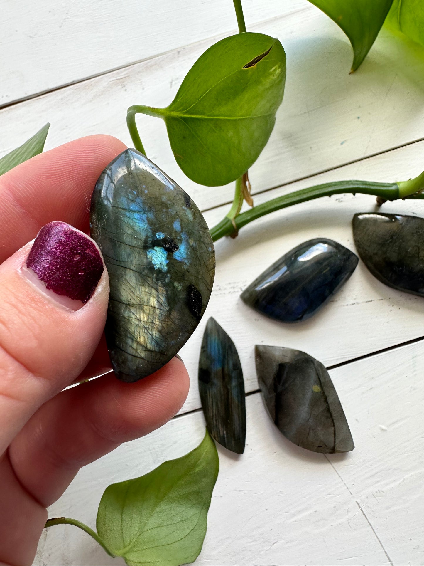 Labradorite Leafs ~ Transformation - Protection - Aligns