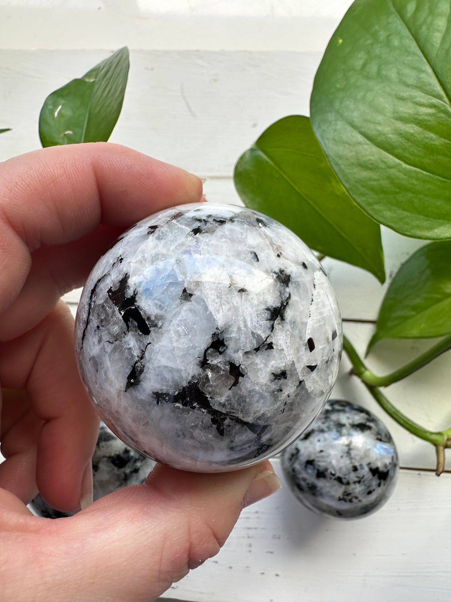 Rainbow Moonstone Spheres