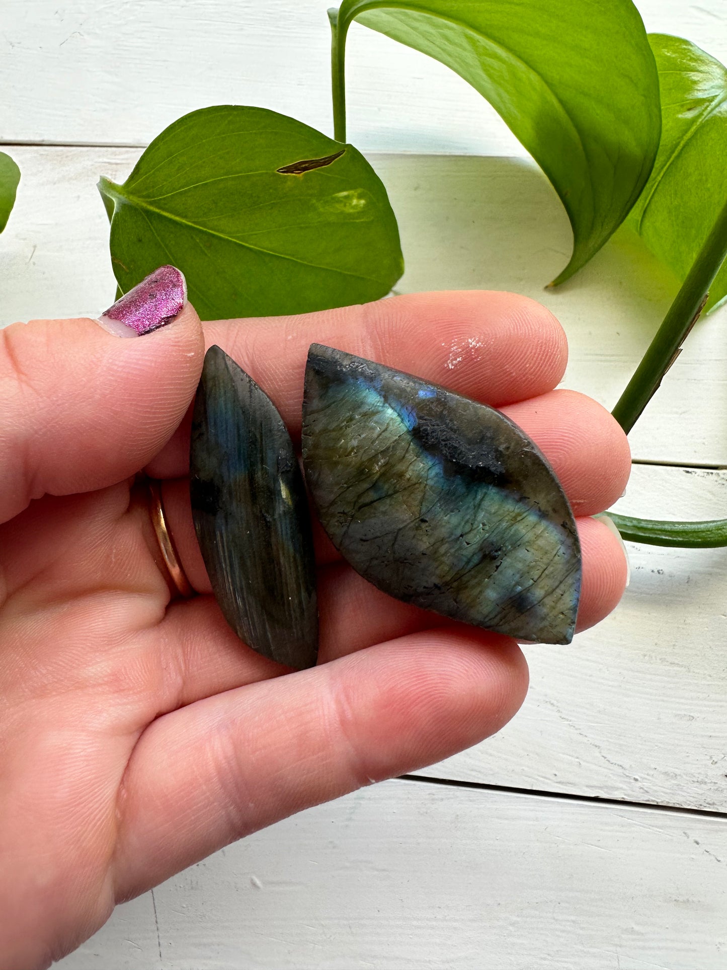 Labradorite Leafs ~ Transformation - Protection - Aligns