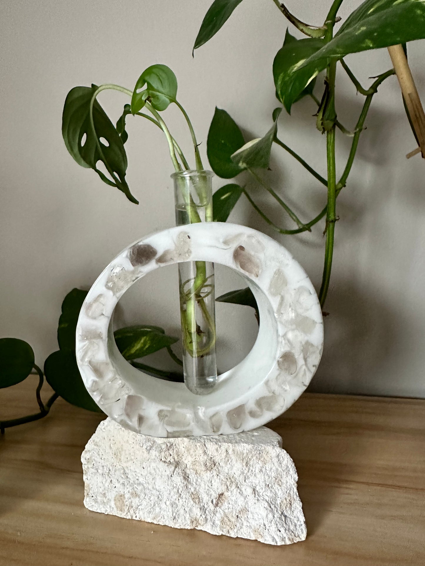 Imperfect Crystal Infused Plant Propagation Station