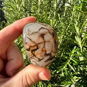 Sardonyx Palms ~ Grounding ~ Motivation ~ Strength