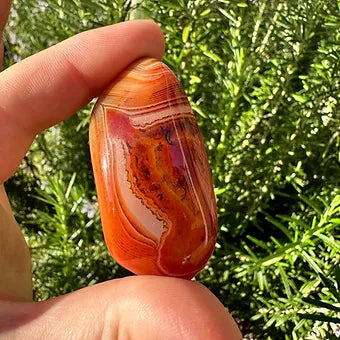 Sardonyx Palms ~ Grounding ~ Motivation ~ Strength