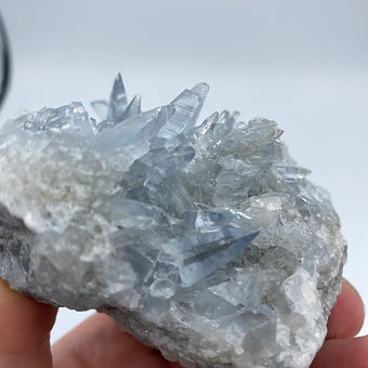 Celestite Cluster ~ Understanding ~ Mindfulness ~ Higher Consciousness