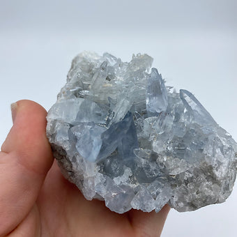 Celestite Cluster ~ Understanding ~ Mindfulness ~ Higher Consciousness