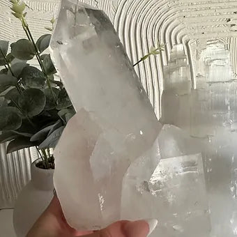 Clear Quartz Cluster ~ Harmony ~ Energy ~ Amplifier ~ Clarity