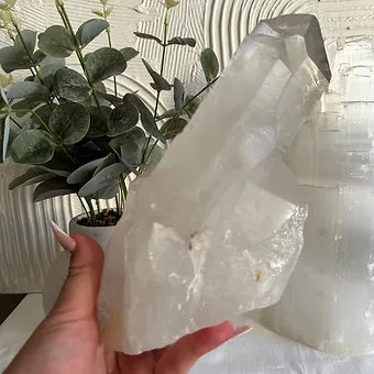 Clear Quartz Cluster ~ Harmony ~ Energy ~ Amplifier ~ Clarity