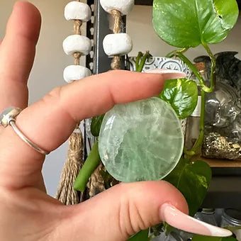 Fluorite Palm Stones ~ Inner Confidence ~ Focus ~ Concertation