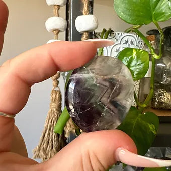 Fluorite Palm Stones ~ Inner Confidence ~ Focus ~ Concertation