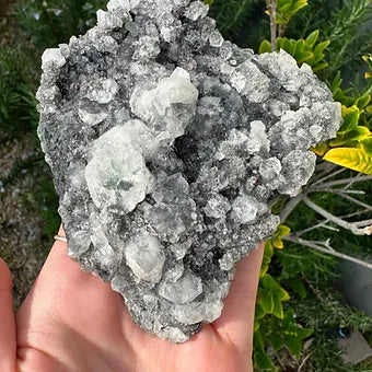 Indian Black Chalcedony with Apophyllite Specimen (No4)