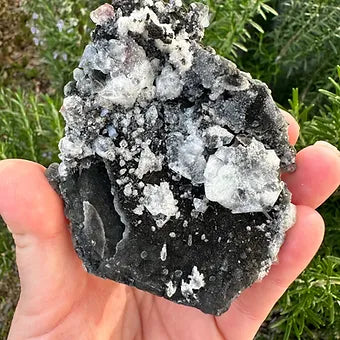 Indian Black Chalcedony with Apophyllite Specimen (No3)