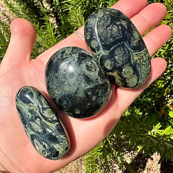 Kambaba Jasper Palm Stones ~ Peace ~ Tranquillity ~ Self Discovery ~ Protection