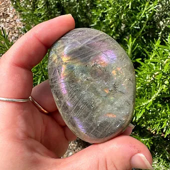 Labradorite Palms ~ Transformation - Protection - Aligns