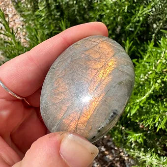 Labradorite Palms ~ Transformation - Protection - Aligns