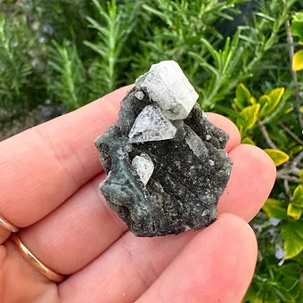 Indian Black Chalcedony with Apophyllite Specimen (D)