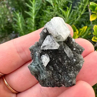 Indian Black Chalcedony with Apophyllite Specimen (D)