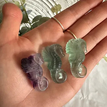 Fluorite Seahorses ~ Inner Confidence ~ Focus ~ Concertation ~