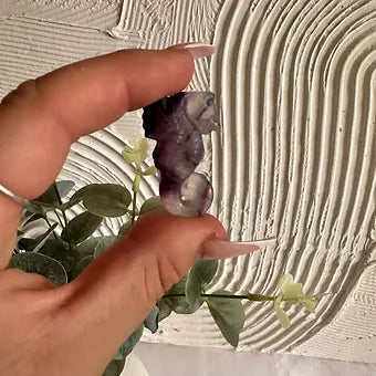 Fluorite Seahorses ~ Inner Confidence ~ Focus ~ Concertation ~