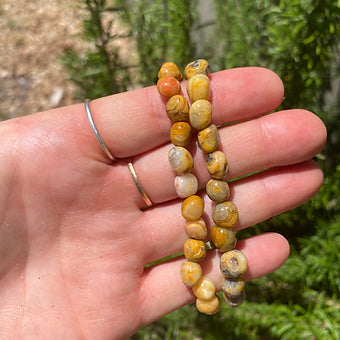 Yellow Crazy Lace Agate Bracelet ~ Joyful ~ Courage ~ Supportive